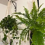 Lejlighed Playroom, 2 Bdrooms, Krumlov 5 Min By Car, 
