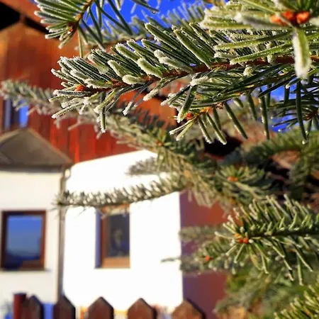 Playroom, 2 Bdrooms, Krumlov 5 Min By Car, 