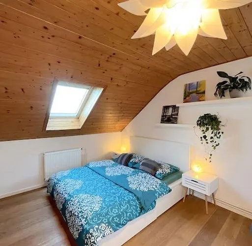Playroom, 2 Bdrooms, Krumlov 5 Min By Car, 